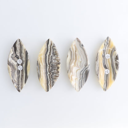 One Mexican Onyx/Calcite Black & Yellow Zebra Leaf Dish