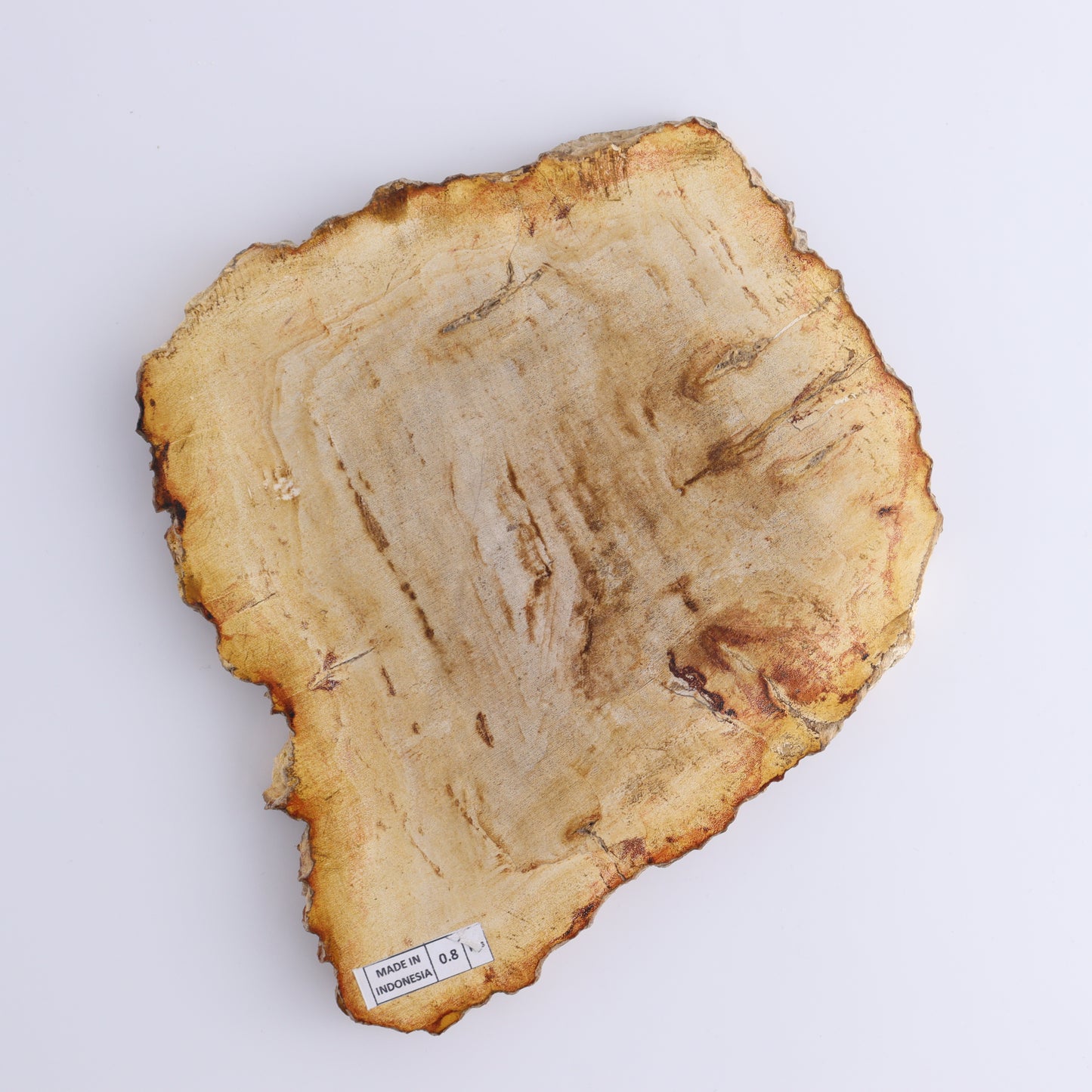 Petrified Wood Slices & Slabs Set of 3 - Expert Wholesale and Supplier of Wholesale Crystals & Bulk Gemstones, ["Freeforms","Indonesia","Petrified Wood","Slices and Slabs"]