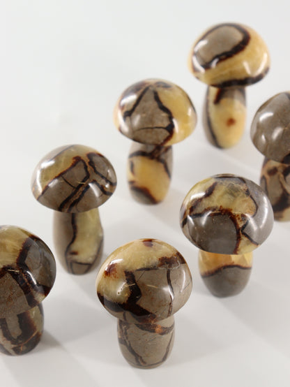 Septarian Mushrooms Set of 7 - Expert Wholesale and Supplier of Wholesale Crystals & Bulk Gemstones, []