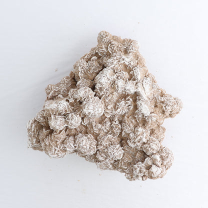 Desert Rose Set of 2