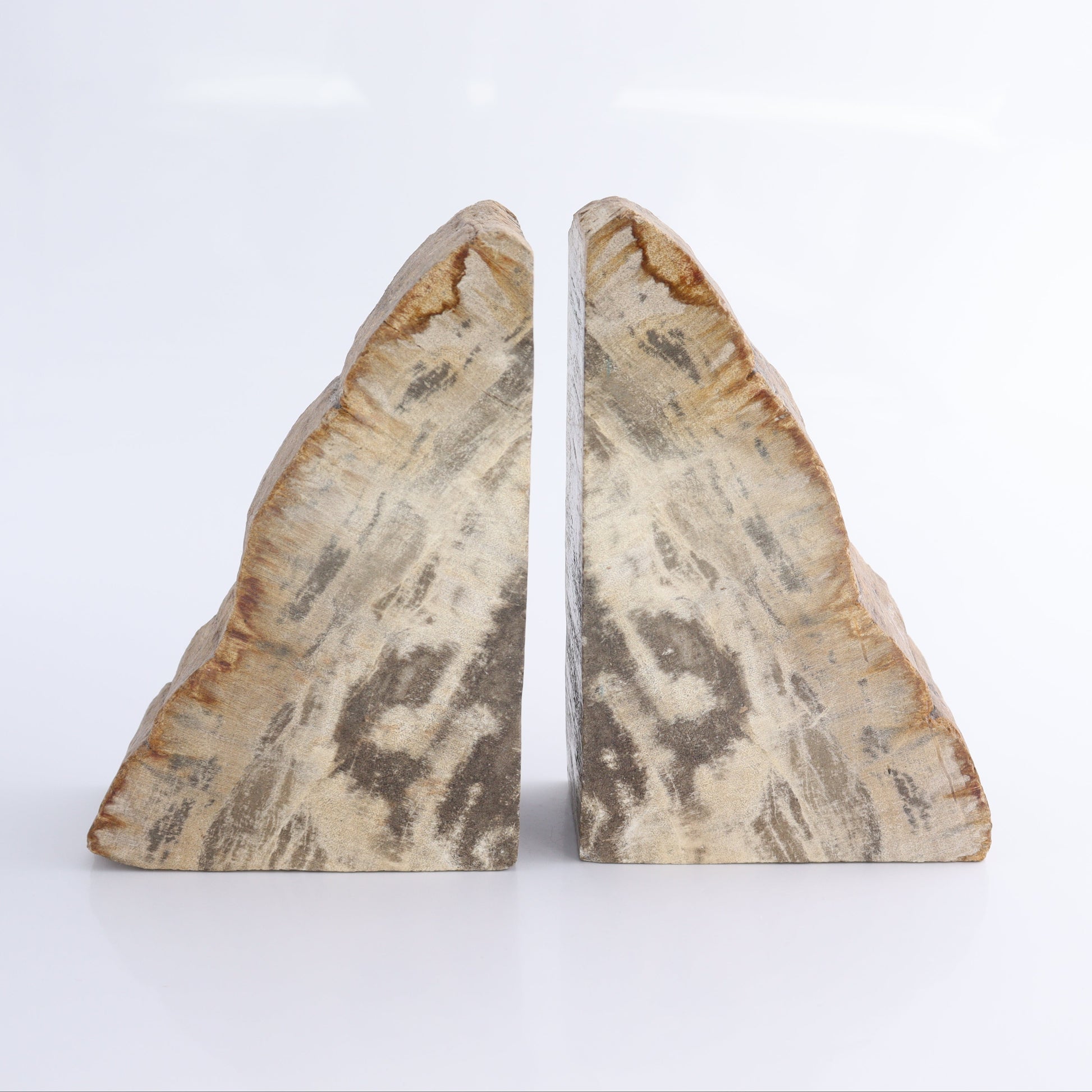 Bookends Petrified Wood - Expert Wholesale and Supplier of Wholesale Crystals & Bulk Gemstones, ["Bookends","Indonesia","Petrified Wood"]