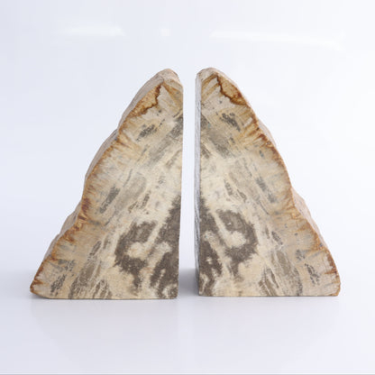 Bookends Petrified Wood - Expert Wholesale and Supplier of Wholesale Crystals & Bulk Gemstones, ["Bookends","Indonesia","Petrified Wood"]