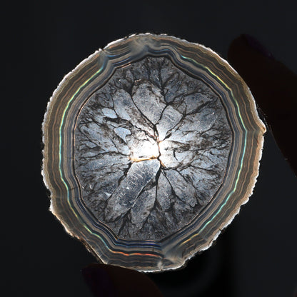 Iris Agate Slices Set of 6 - Expert Wholesale and Supplier of Wholesale Crystals & Bulk Gemstones, ["Agate","Iris Agate","Slices and Slabs"]