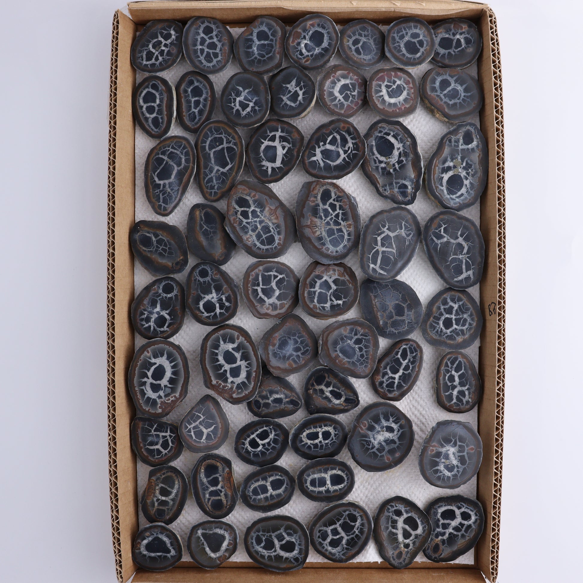 Septarian Geodes Flat - Expert Wholesale and Supplier of Wholesale Crystals & Bulk Gemstones, ["Geodes","Septarian"]