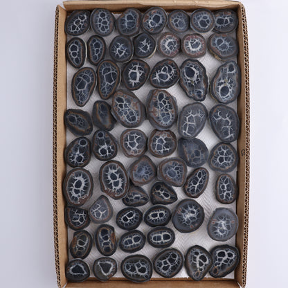 Septarian Geodes Flat - Expert Wholesale and Supplier of Wholesale Crystals & Bulk Gemstones, ["Geodes","Septarian"]