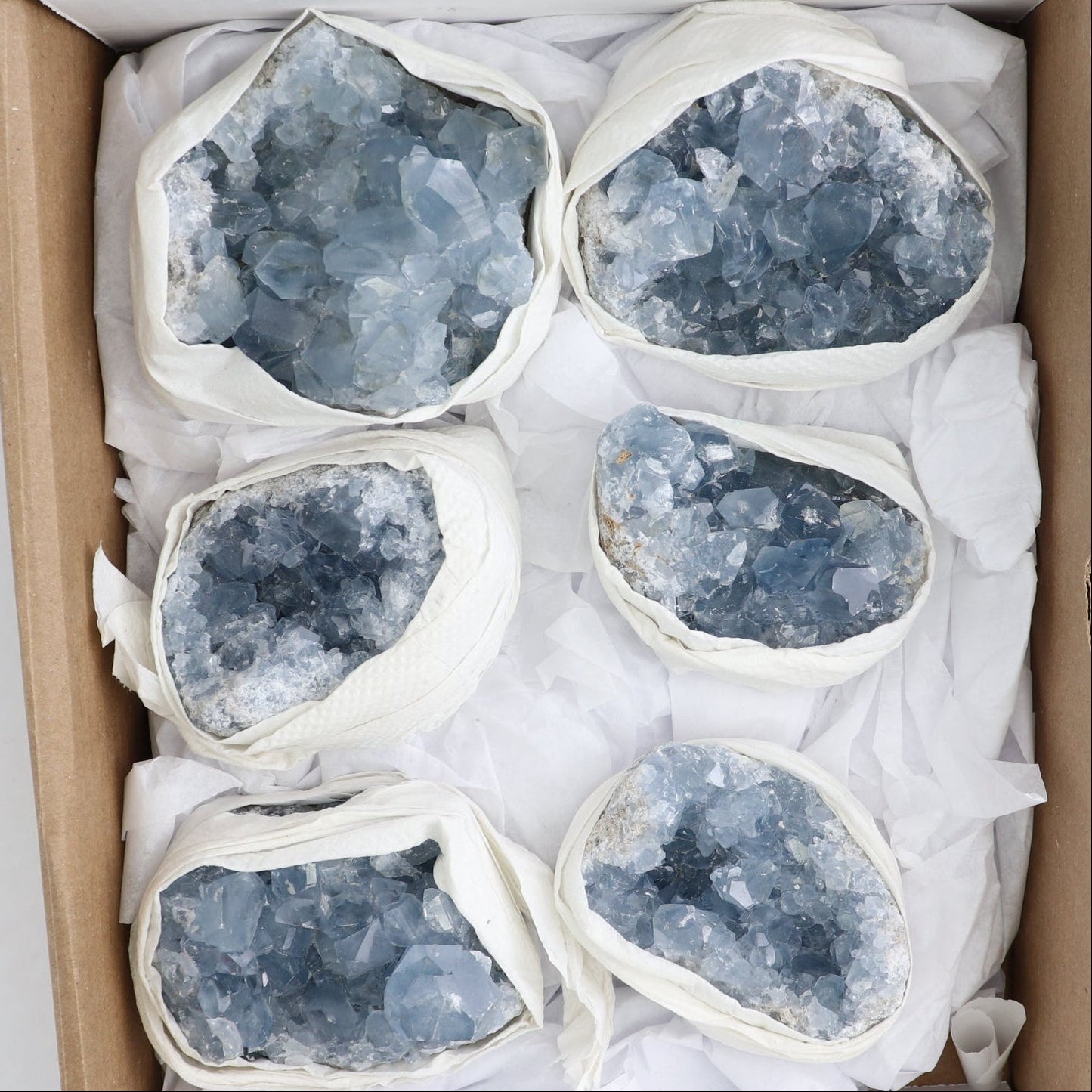 Celestite Clusters Set of 6