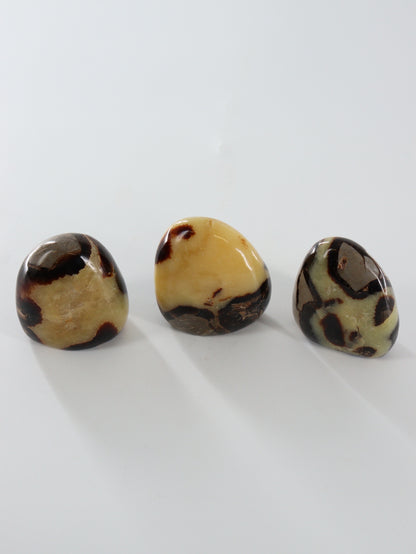 Septarian Freeforms Set of 12 - Expert Wholesale and Supplier of Wholesale Crystals & Bulk Gemstones, []