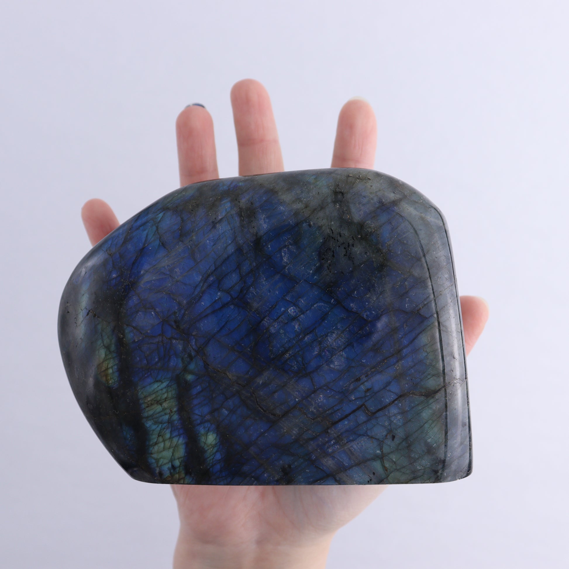 Labradorite Freeform Set of 4 - Expert Wholesale and Supplier of Wholesale Crystals & Bulk Gemstones, ["Freeforms","Labradorite","Madagascar"]