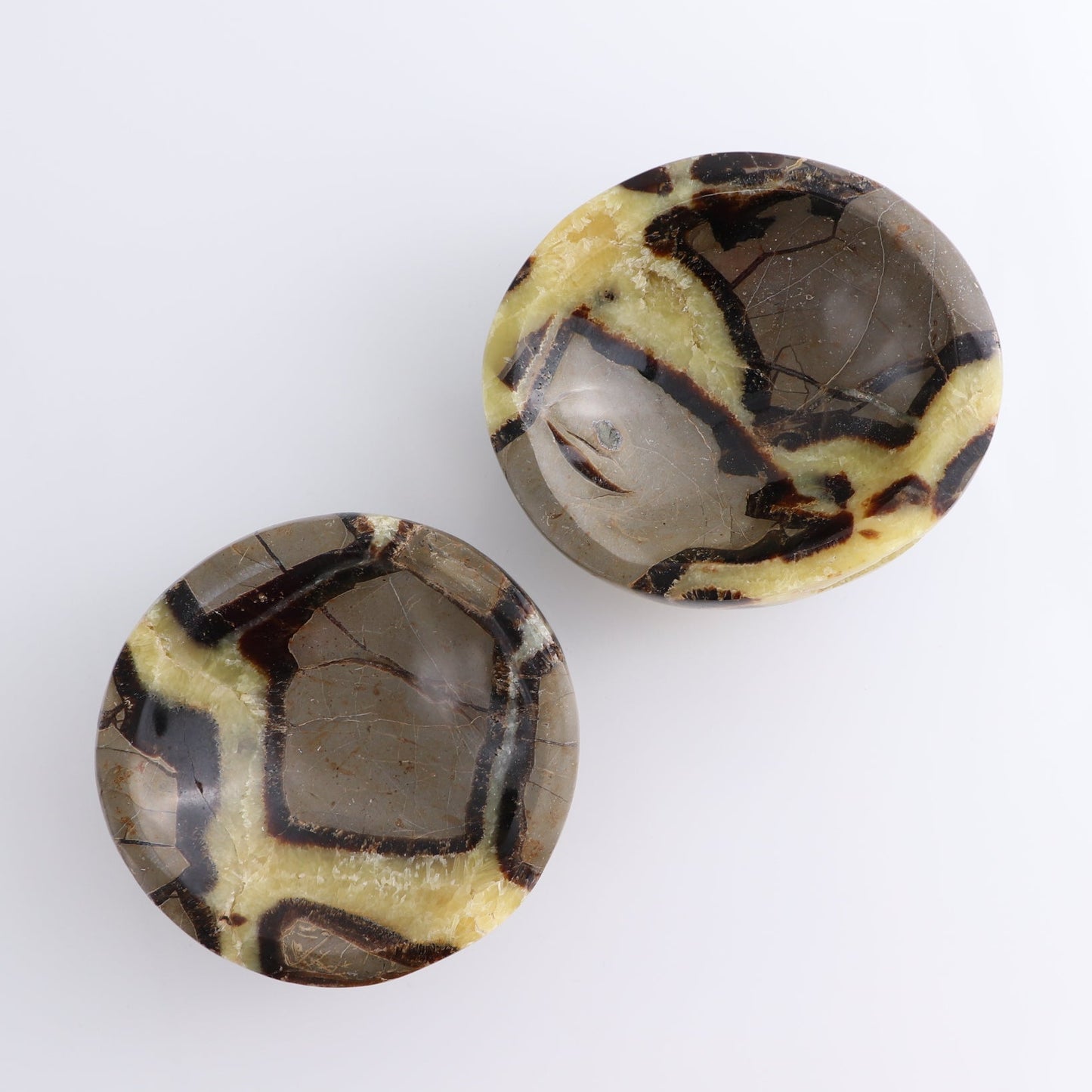 Septarian Bowls Set of 2