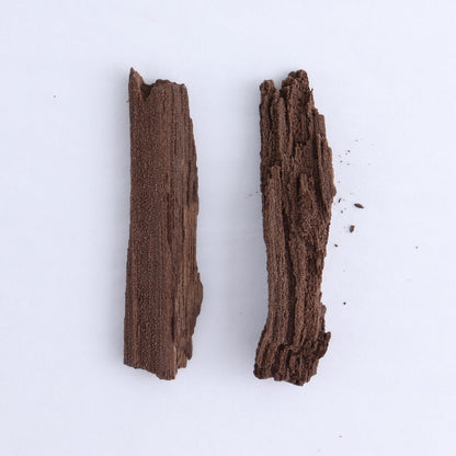 Permineralized Wood Flat of 6