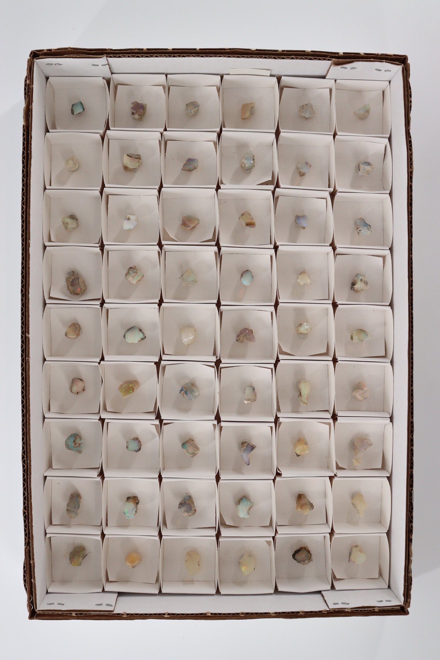 Ethiopian Opal Flat - Expert Wholesale and Supplier of Wholesale Crystals & Bulk Gemstones, []