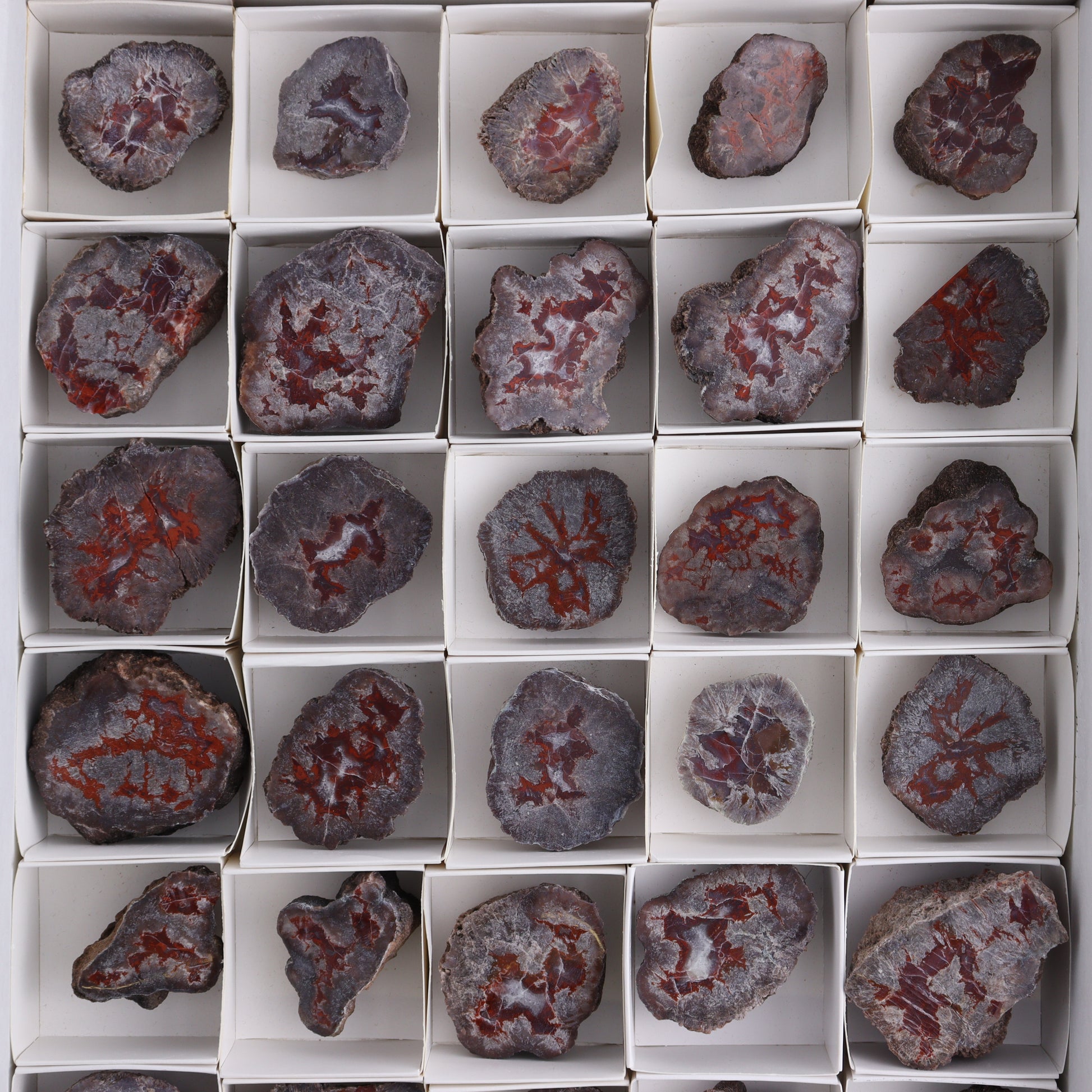Agate Pseudo. Barite Geodes Flat of 34 - Expert Wholesale and Supplier of Wholesale Crystals & Bulk Gemstones, ["Agate","Agate Pseudo Barite","flat","Flats","Geodes","United States"]