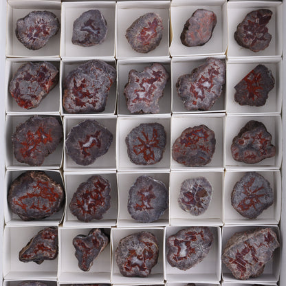 Agate Pseudo. Barite Geodes Flat of 34 - Expert Wholesale and Supplier of Wholesale Crystals & Bulk Gemstones, ["Agate","Agate Pseudo Barite","flat","Flats","Geodes","United States"]