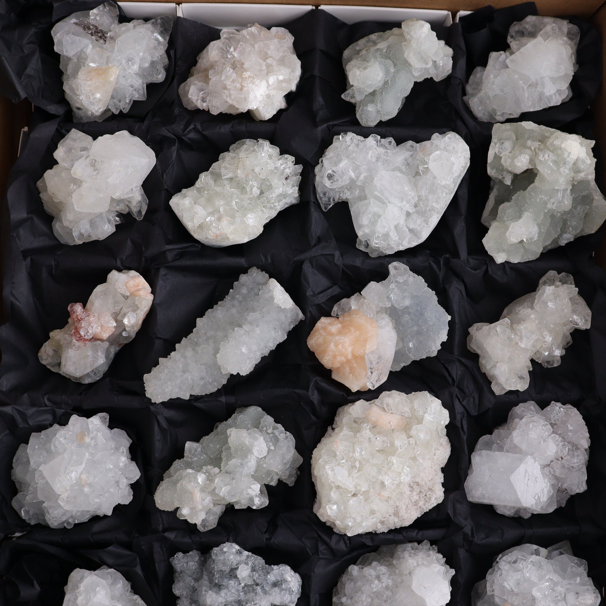 Apophyllite Clusters Flat of 24 - Expert Wholesale and Supplier of Wholesale Crystals & Bulk Gemstones, ["Apophyllite","Clusters","Flats"]