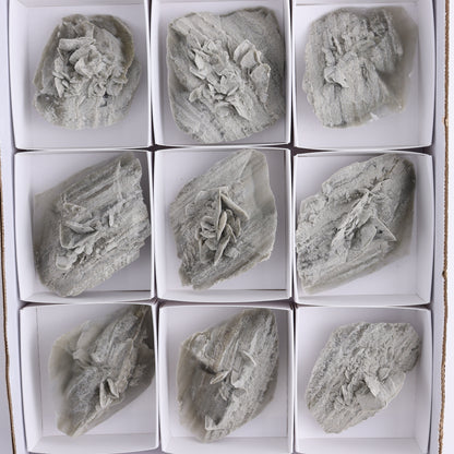 Selenite Clusters Set of 12