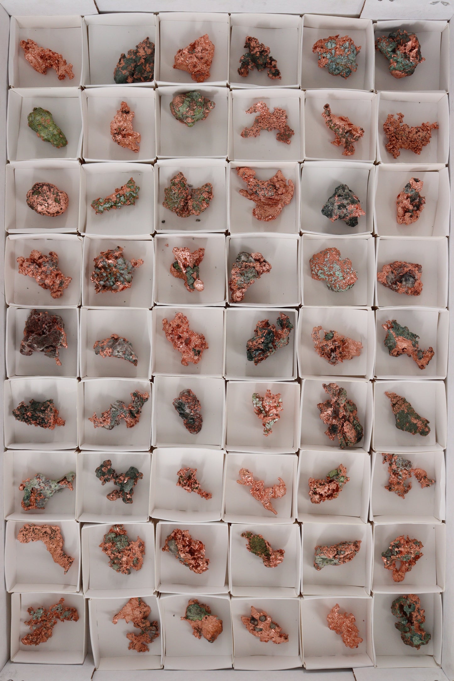 Native Copper 54pc Flat from Michigan - Expert Wholesale and Supplier of Wholesale Crystals & Bulk Gemstones, []