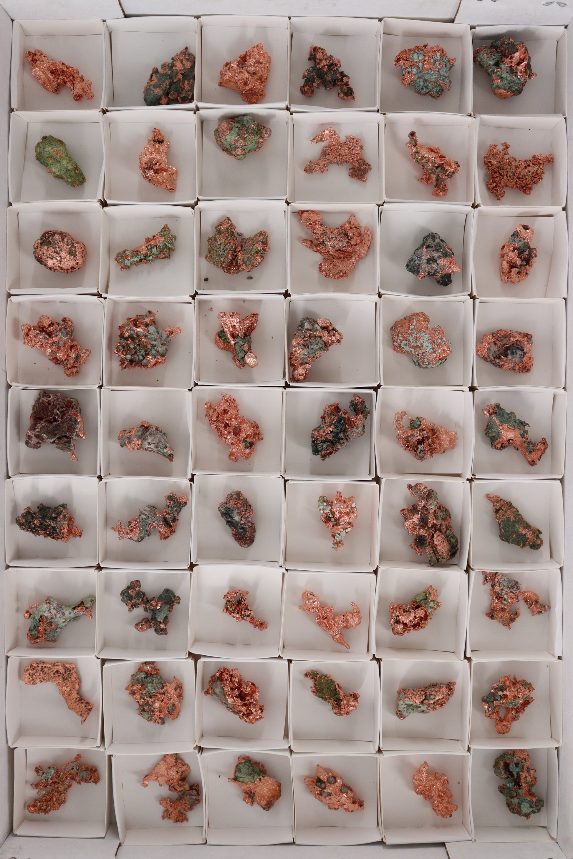 Native Copper 54pc Flat from Michigan - Expert Wholesale and Supplier of Wholesale Crystals & Bulk Gemstones, []