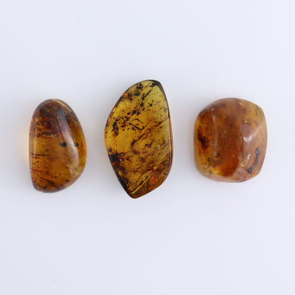 Chiapas Mexico Amber Freeforms Set of 13