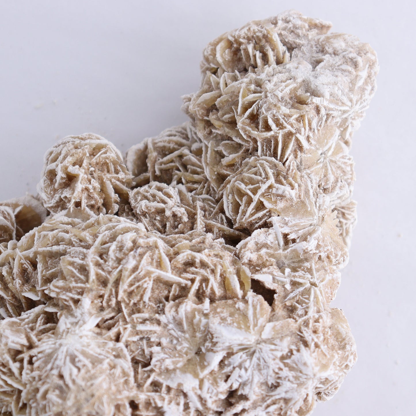 Desert Rose Cluster - Expert Wholesale and Supplier of Wholesale Crystals & Bulk Gemstones, ["Desert Rose","Freeforms"]