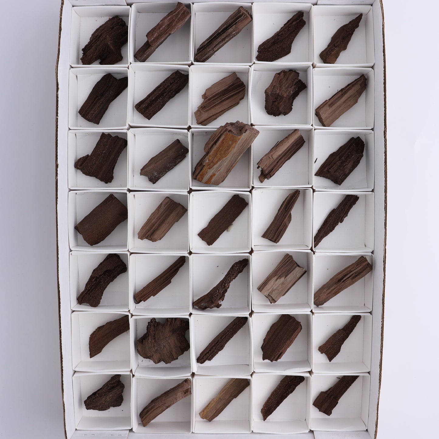 Permineralized Wood Flat of 35 - Expert Wholesale and Supplier of Wholesale Crystals & Bulk Gemstones, ["Flats","Germany","Permineralized Wood"]