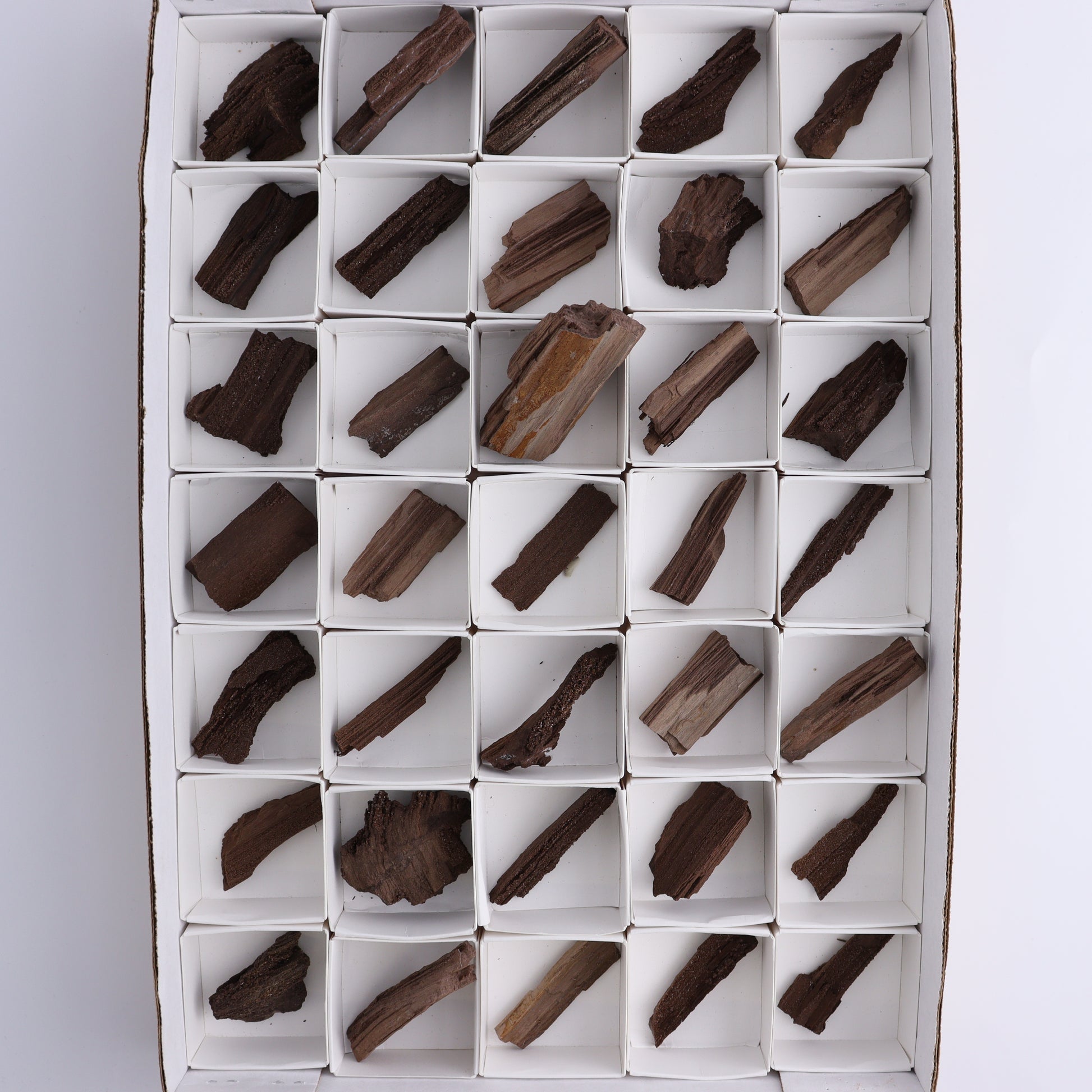Permineralized Wood Flat of 35 - Expert Wholesale and Supplier of Wholesale Crystals & Bulk Gemstones, ["Flats","Germany","Permineralized Wood"]
