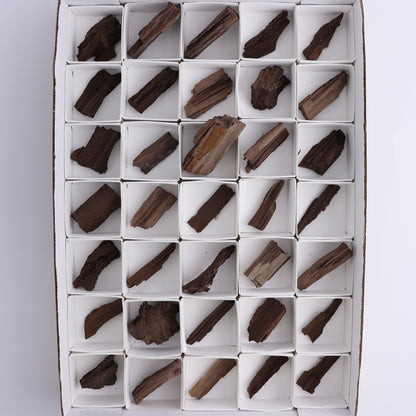 Permineralized Wood Flat of 35 - Expert Wholesale and Supplier of Wholesale Crystals & Bulk Gemstones, ["Flats","Germany","Permineralized Wood"]