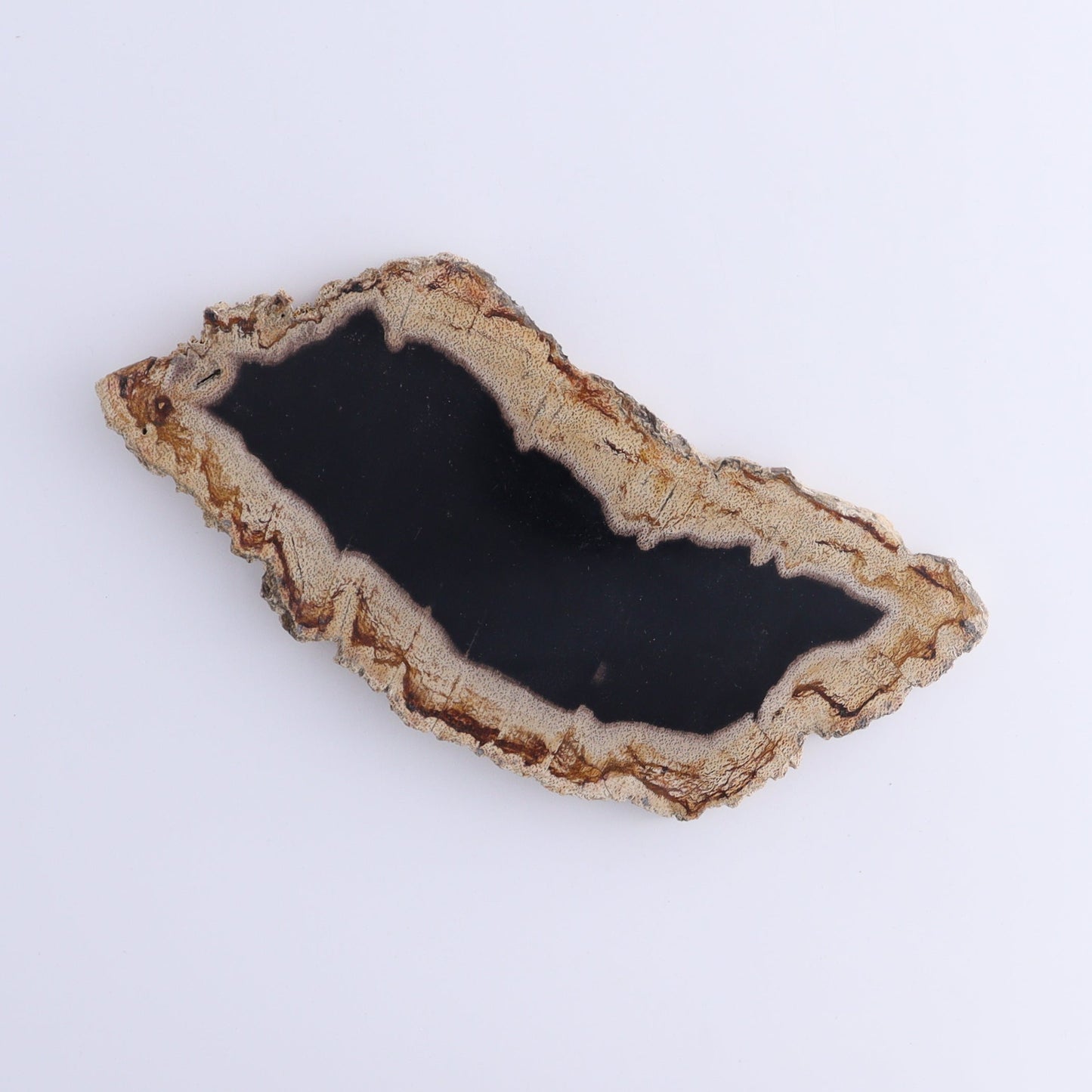 Petrified Wood Slices & Slabs Set of 4 - Expert Wholesale and Supplier of Wholesale Crystals & Bulk Gemstones, ["Freeforms","Indonesia","Petrified Wood","Slices and Slabs"]