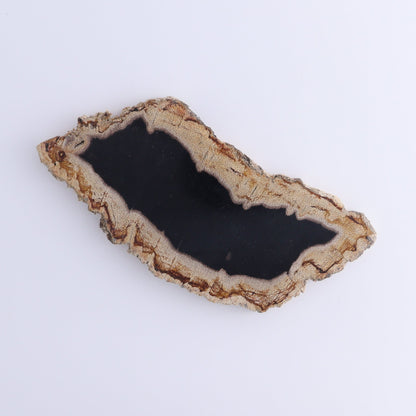 Petrified Wood Slices & Slabs Set of 4 - Expert Wholesale and Supplier of Wholesale Crystals & Bulk Gemstones, ["Freeforms","Indonesia","Petrified Wood","Slices and Slabs"]