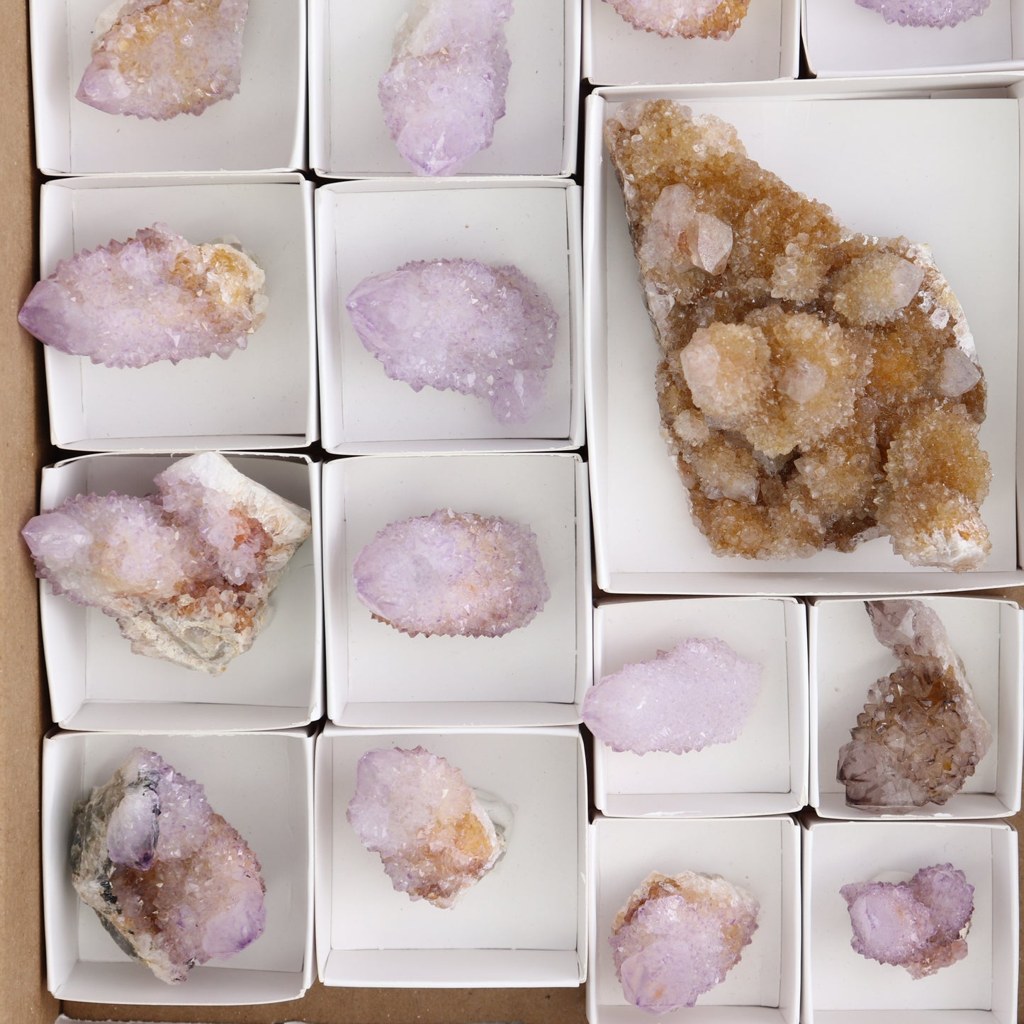 Cactus Quartz Set of 19