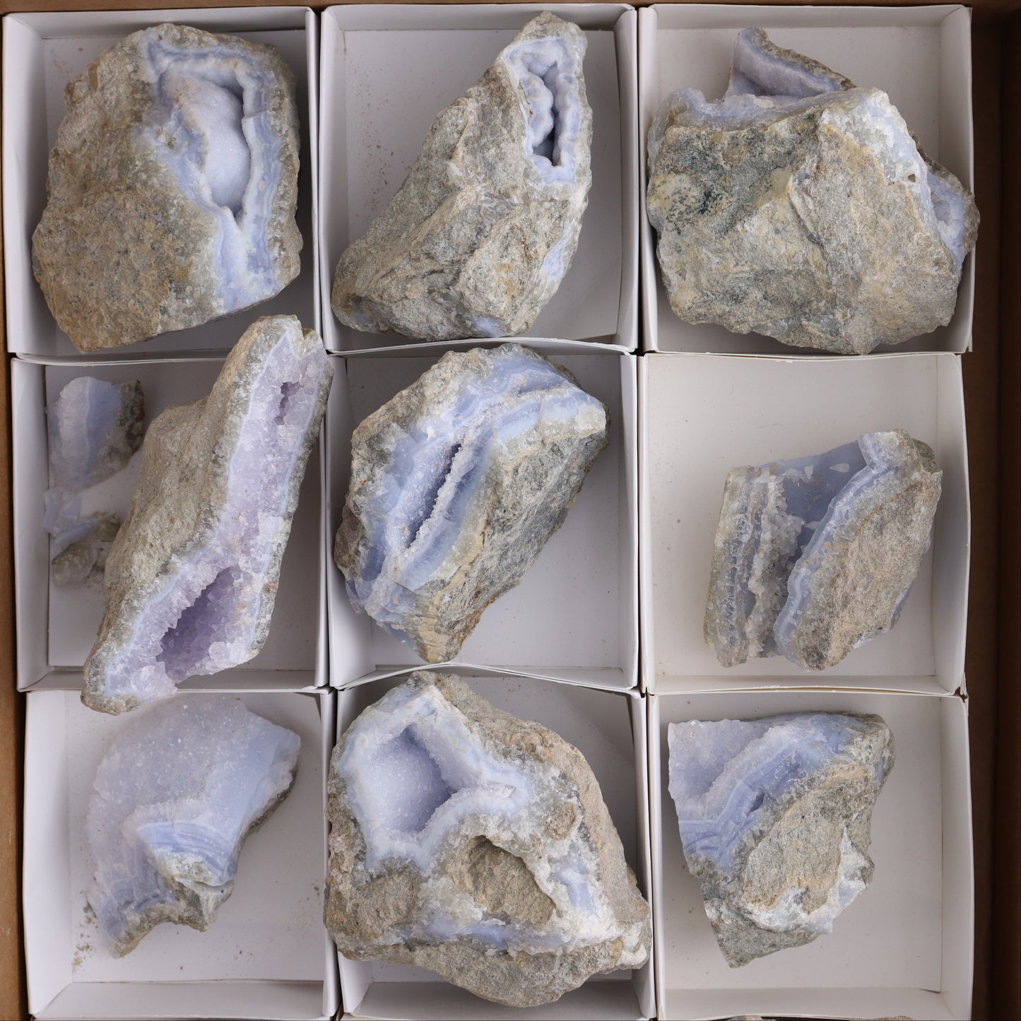 Blue Lace Agate Freeforms Set of 12
