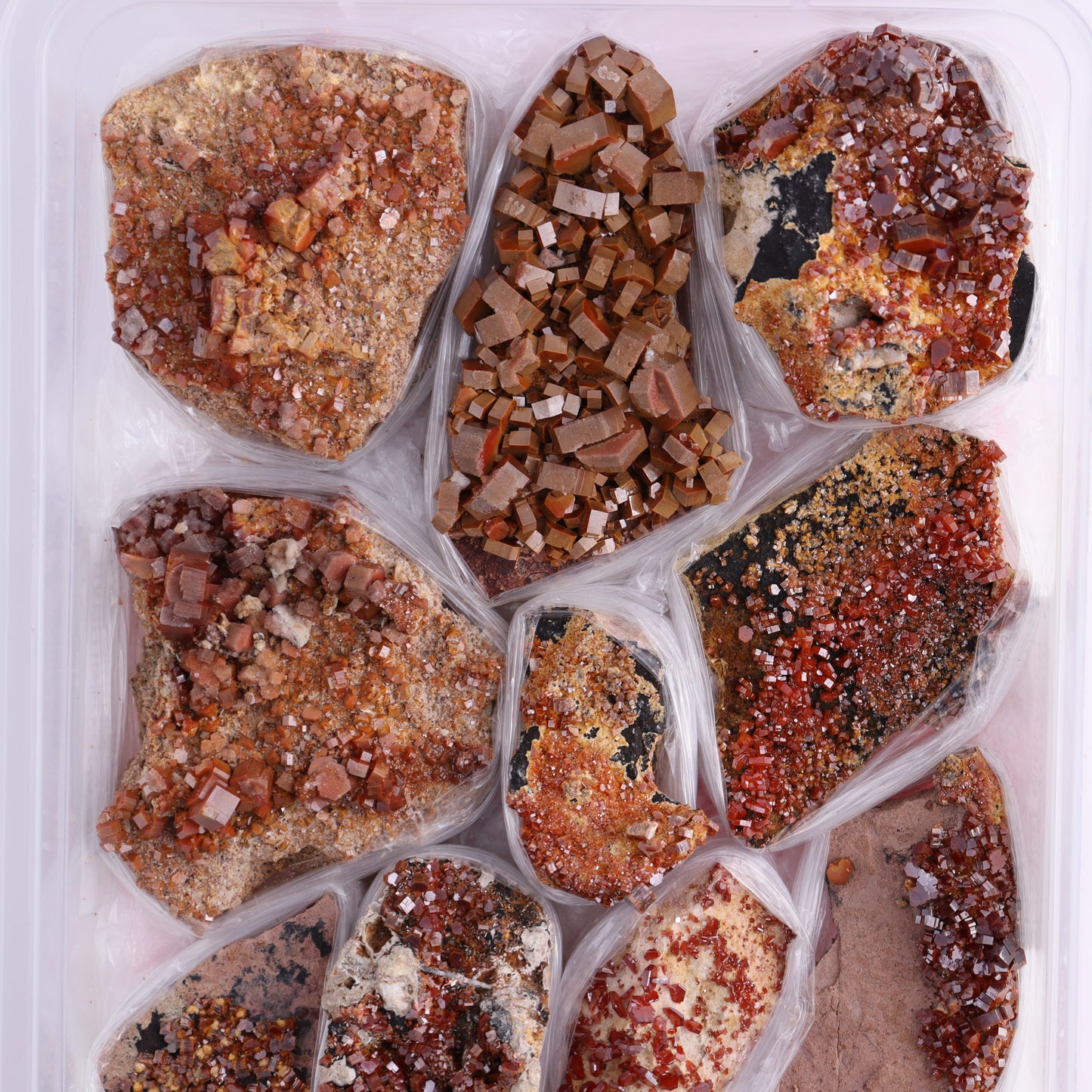Vanadinite on Barite Flat from Morocco - Expert Wholesale and Supplier of Wholesale Crystals & Bulk Gemstones, ["Barite","Flats","Morocco","Vanadinite","Vanadinite Barite"]