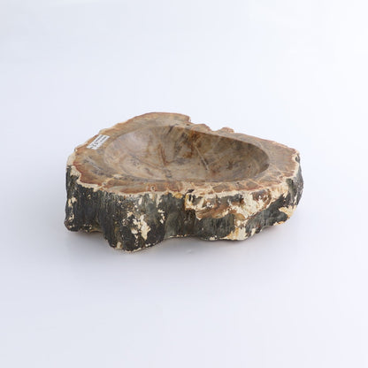 One Small Petrified Wood Brown Rough Bowl
