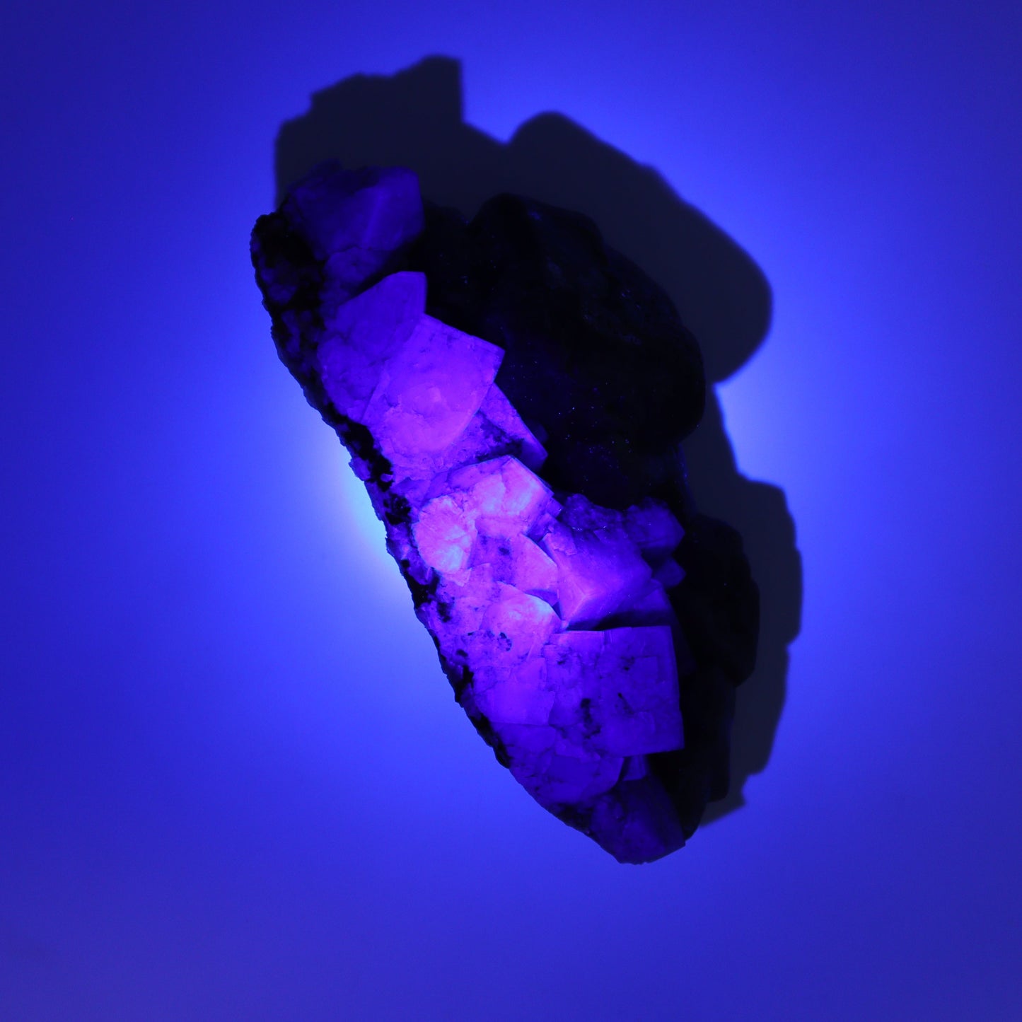 Fluorite Purple Rain Pocket Set of 7 - Expert Wholesale and Supplier of Wholesale Crystals & Bulk Gemstones, ["close_50","England","Fluorite","Purple Rain Pocket","Rough"]