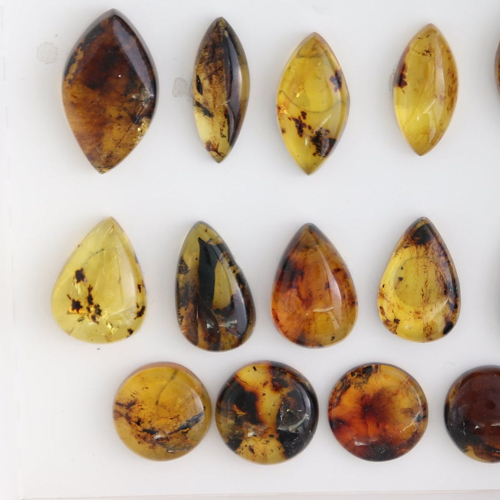 Chiapas Mexico Amber Cabs Set of 23