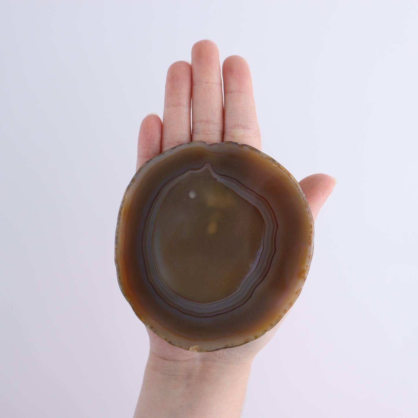 Agate Slices Set of 8 - Expert Wholesale and Supplier of Wholesale Crystals & Bulk Gemstones, ["Agate","Slices and Slabs"]