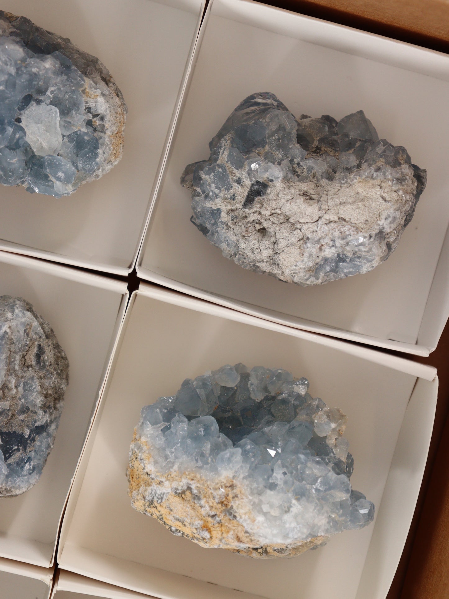Celestite Clusters Set of 6 - Expert Wholesale and Supplier of Wholesale Crystals & Bulk Gemstones, []