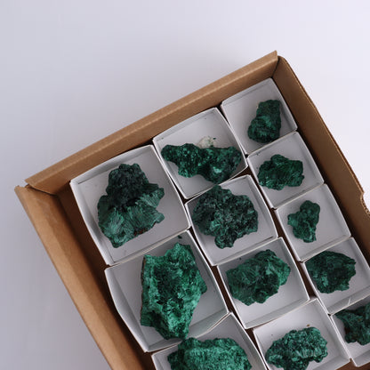 Malachite Flat of 12 - Expert Wholesale and Supplier of Wholesale Crystals & Bulk Gemstones, ["Congo","Flats","Malachite"]
