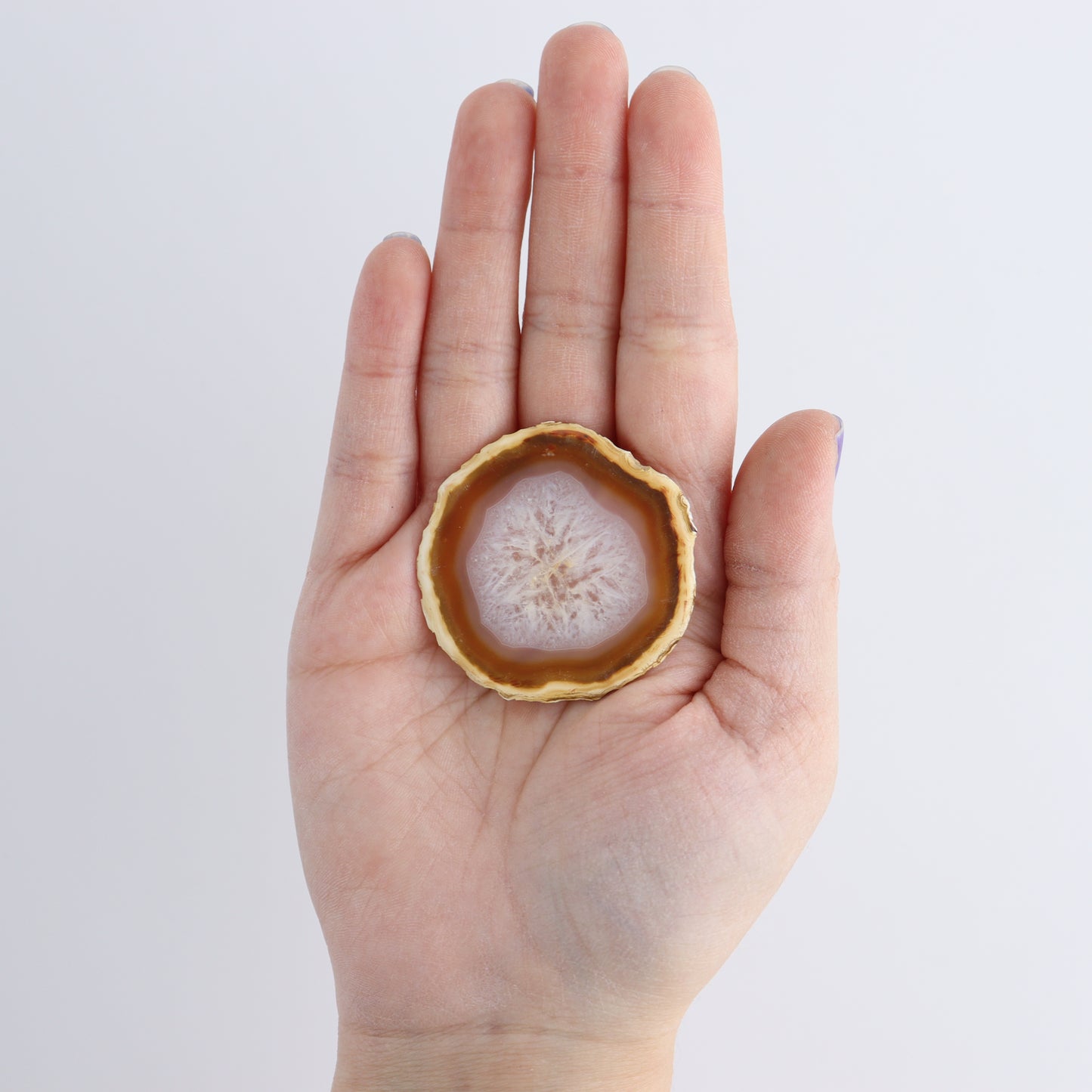 Iris Agate Slices Set of 6 - Expert Wholesale and Supplier of Wholesale Crystals & Bulk Gemstones, ["Agate","Iris Agate","Slices and Slabs"]