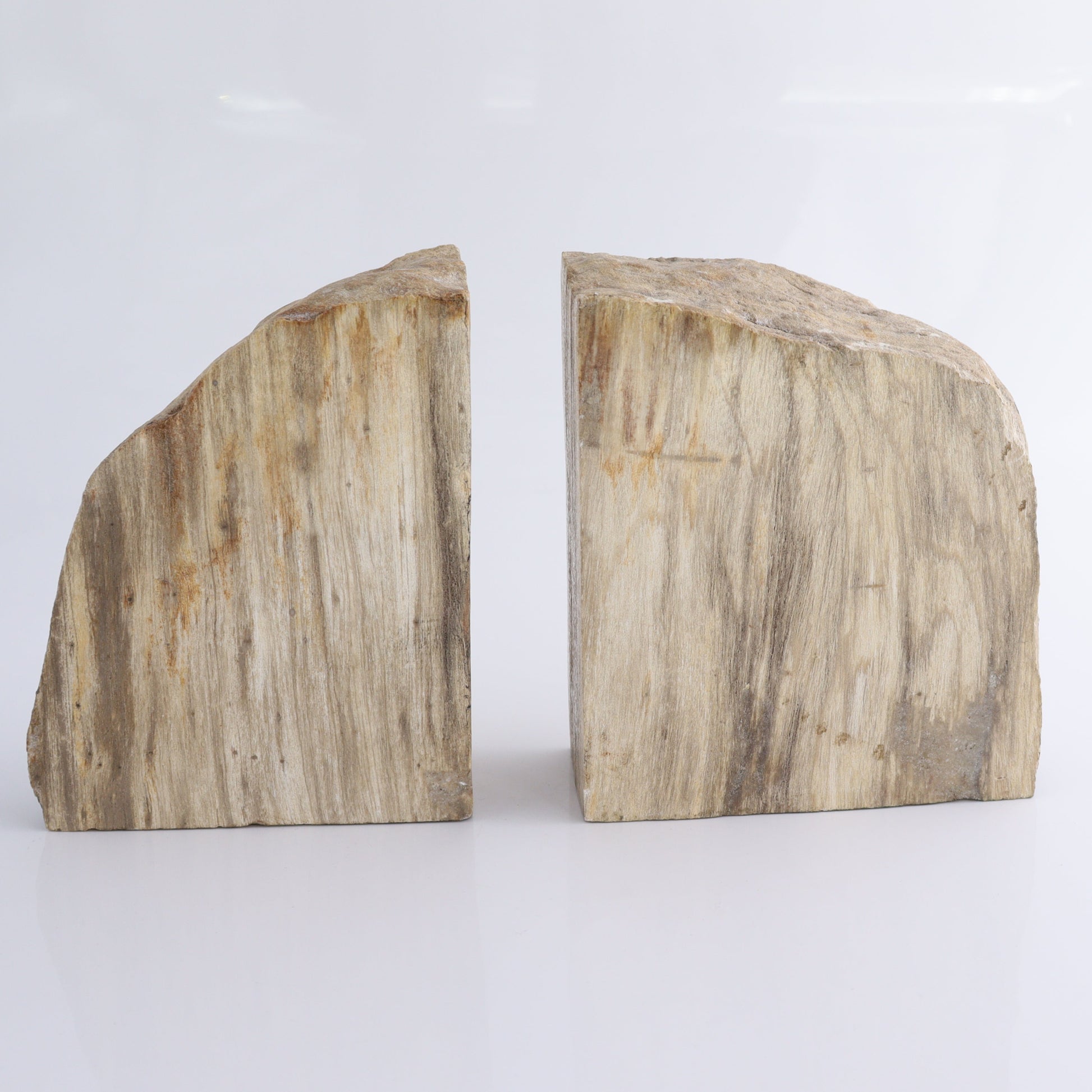 Bookends Petrified Wood - Expert Wholesale and Supplier of Wholesale Crystals & Bulk Gemstones, ["Bookends","Indonesia","Petrified Wood"]