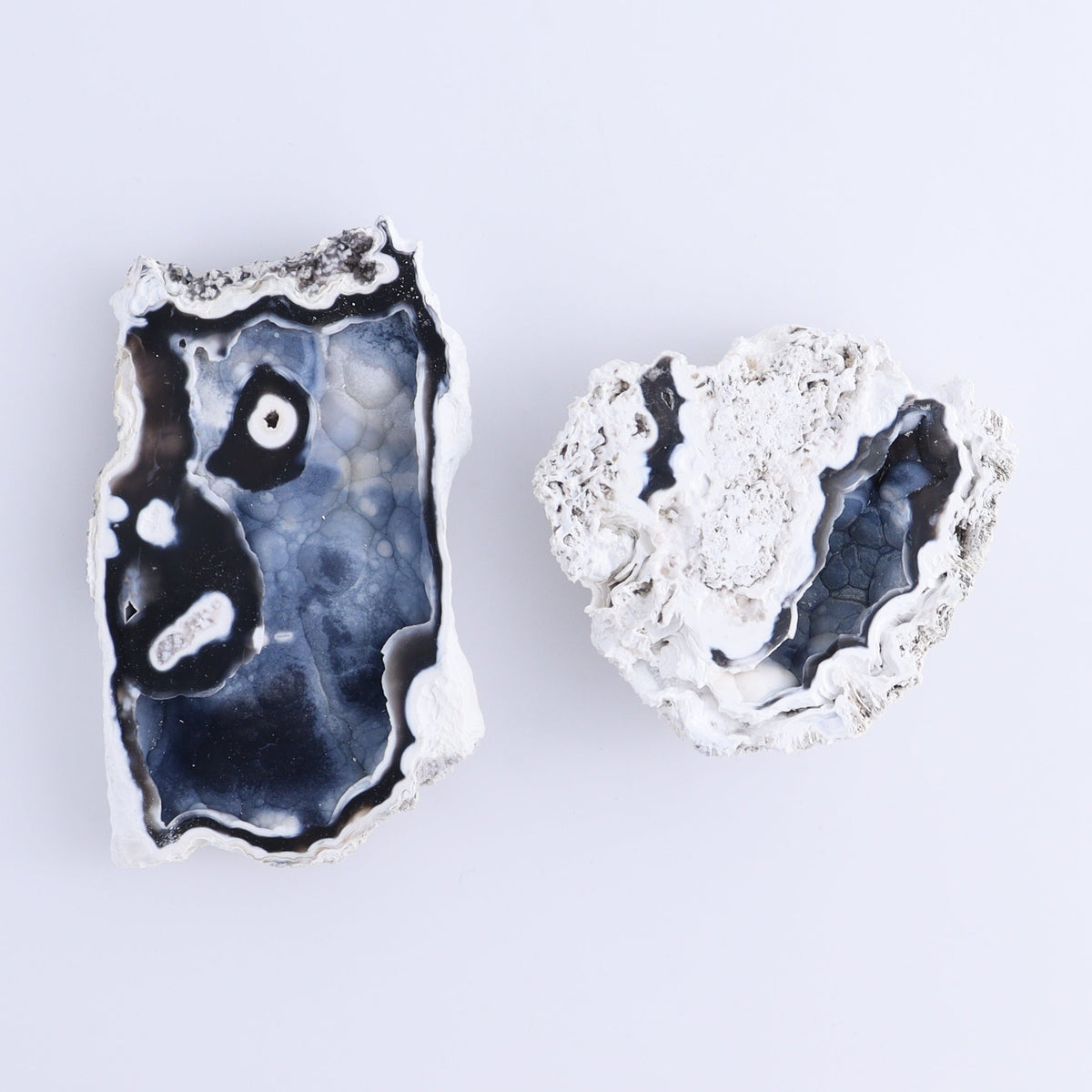 Agatized Coral Flat | Mi Esperanza Minerals | Supplier of Crystals and Onyx