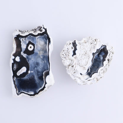 Agatized Coral Flat | Mi Esperanza Minerals | Supplier of Crystals and Onyx