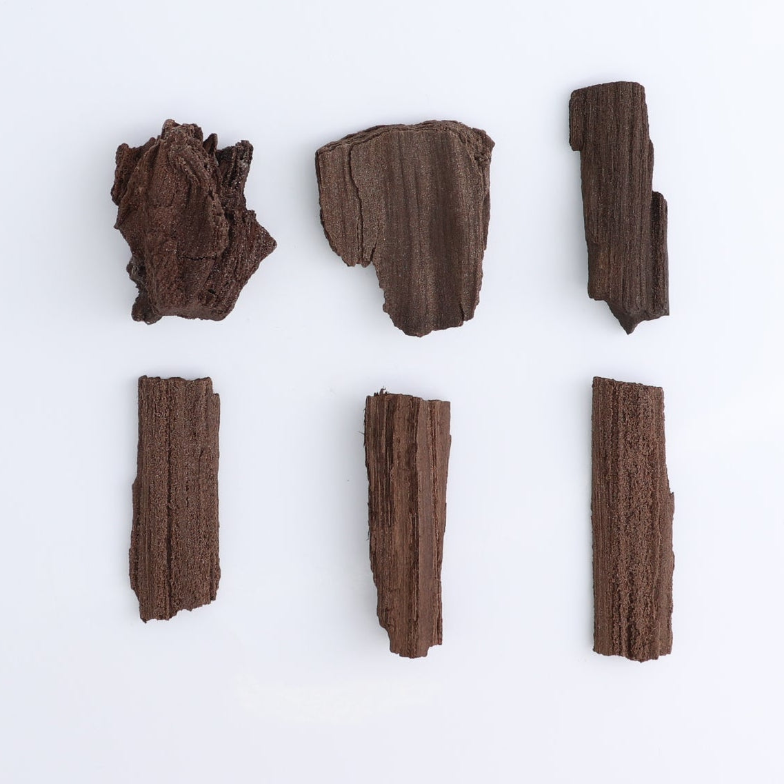 Permineralized Wood Flat of 24