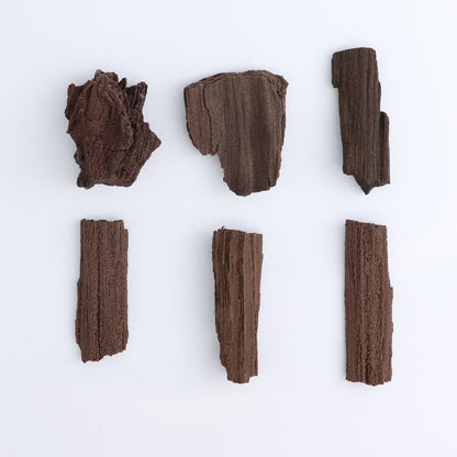 Permineralized Wood Flat of 24