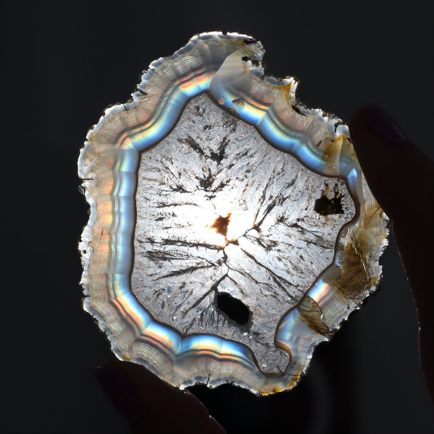 Iris Agate Slices Set of 6 - Expert Wholesale and Supplier of Wholesale Crystals & Bulk Gemstones, ["Agate","Iris Agate","Slices and Slabs"]
