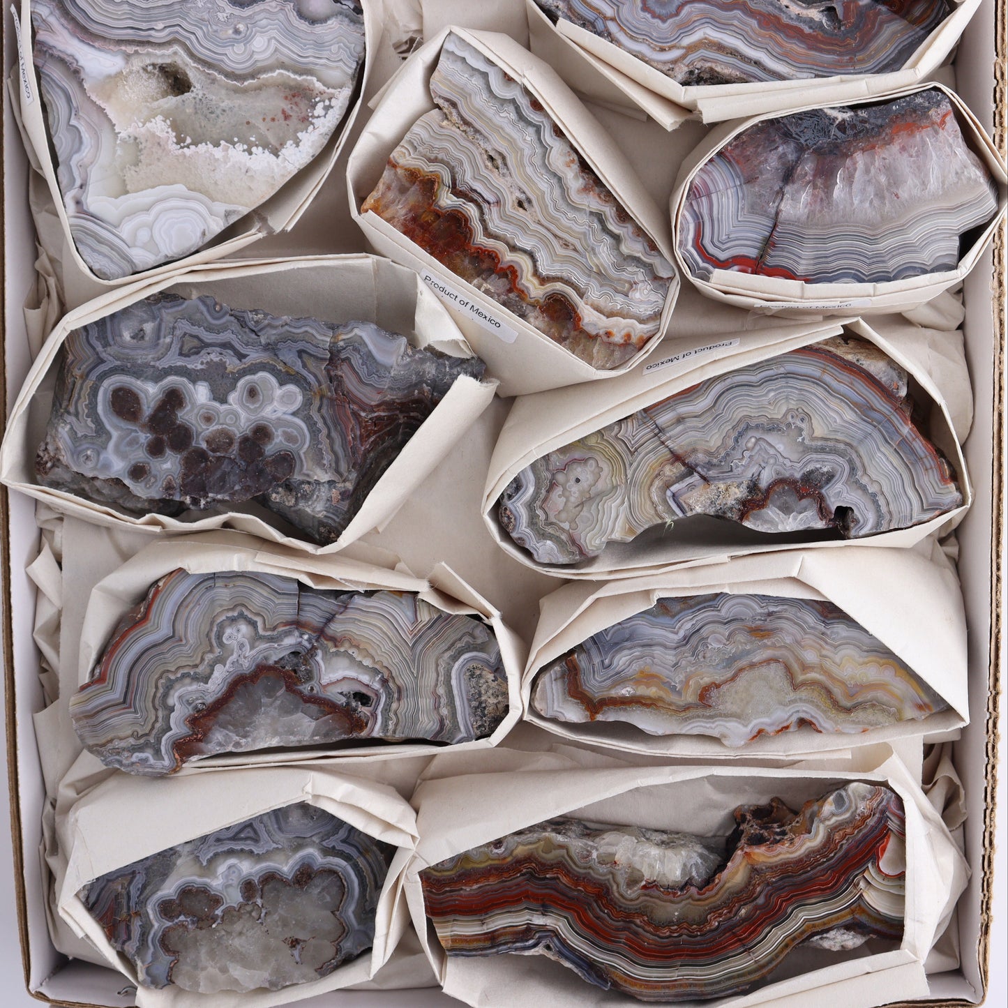 Crazy Lace Agate Flat of 12 - Expert Wholesale and Supplier of Wholesale Crystals & Bulk Gemstones, ["Crazy Lace Agate","Mexico"]