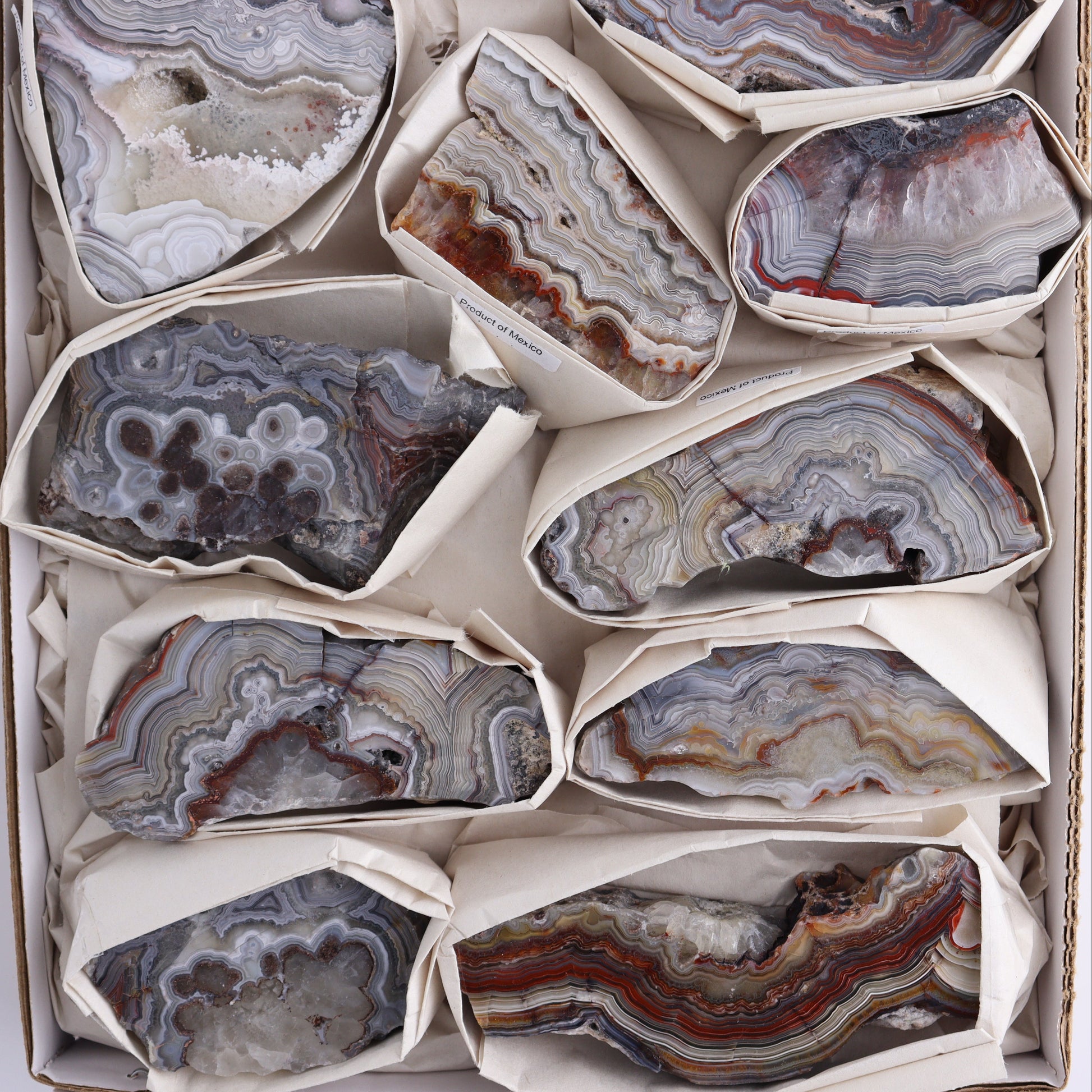 Crazy Lace Agate Flat of 12 - Expert Wholesale and Supplier of Wholesale Crystals & Bulk Gemstones, ["Crazy Lace Agate","Mexico"]