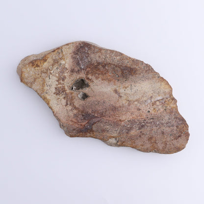 Petrified Wood Slices & Slabs Set of 4 - Expert Wholesale and Supplier of Wholesale Crystals & Bulk Gemstones, ["Freeforms","Indonesia","Petrified Wood","Slices and Slabs"]