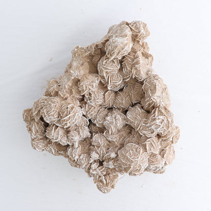 Desert Rose Set of 2