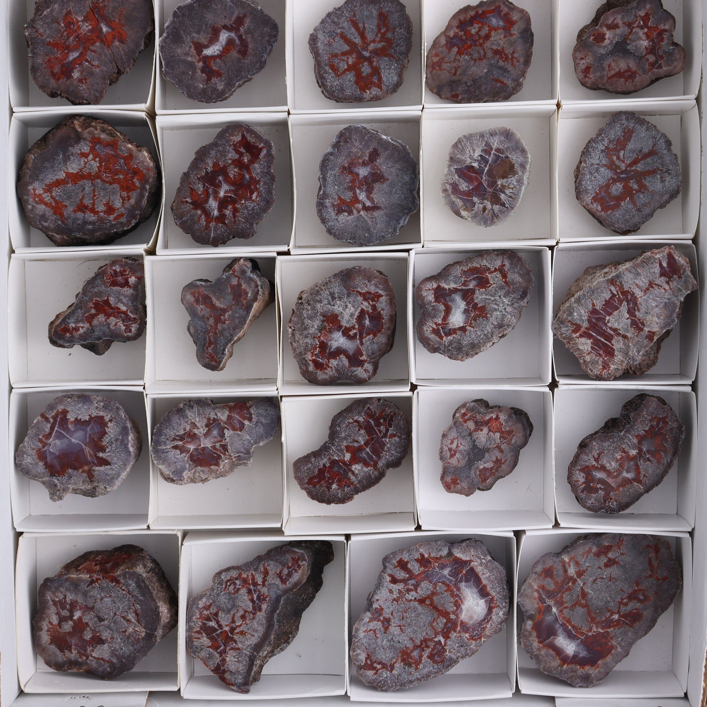 Agate Pseudo. Barite Geodes Flat of 34 - Expert Wholesale and Supplier of Wholesale Crystals & Bulk Gemstones, ["Agate","Agate Pseudo Barite","flat","Flats","Geodes","United States"]