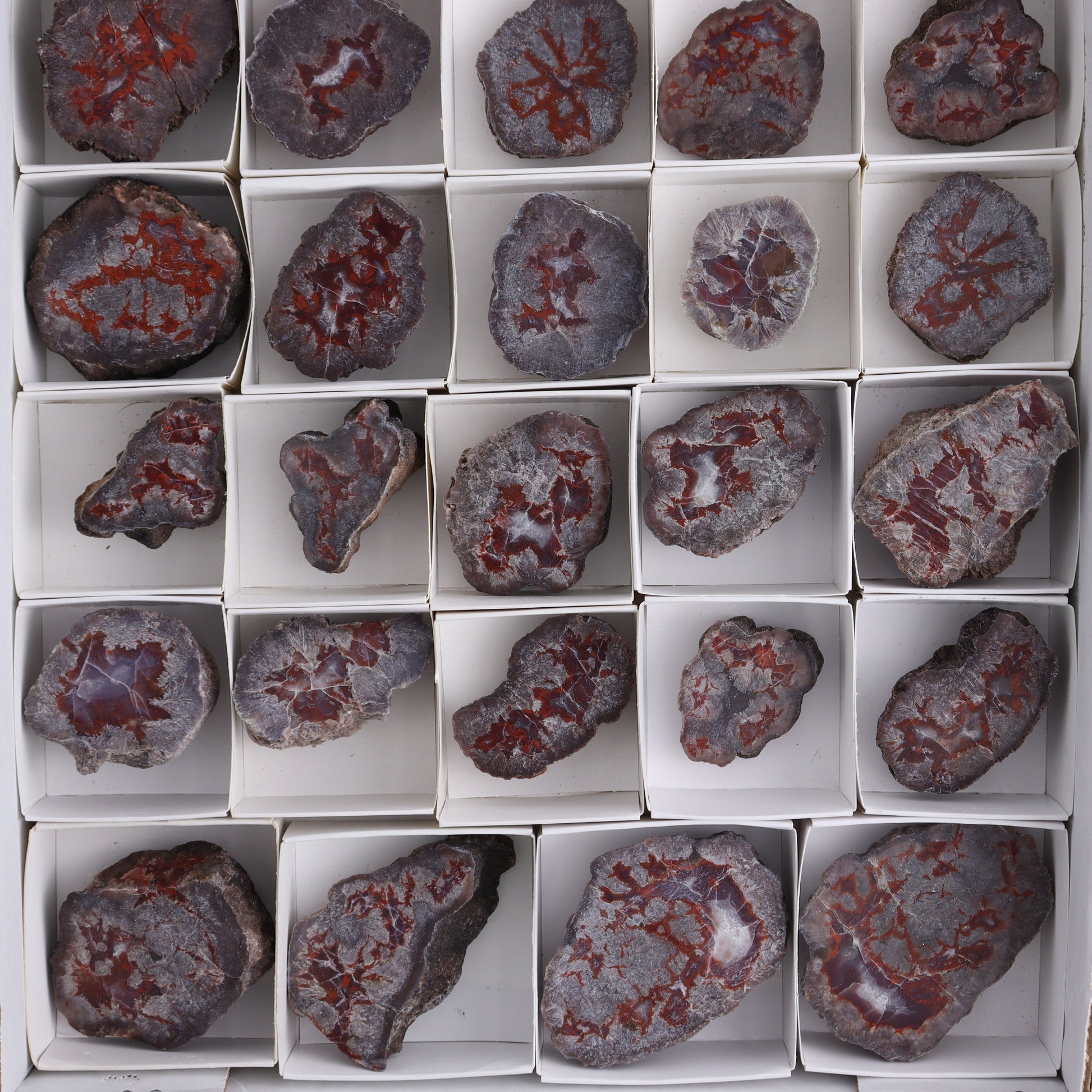 Agate Pseudo. Barite Geodes Flat of 34 - Expert Wholesale and Supplier of Wholesale Crystals & Bulk Gemstones, ["Agate","Agate Pseudo Barite","flat","Flats","Geodes","United States"]